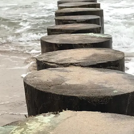 Leśne Tarasy Krabik Dziwnówek