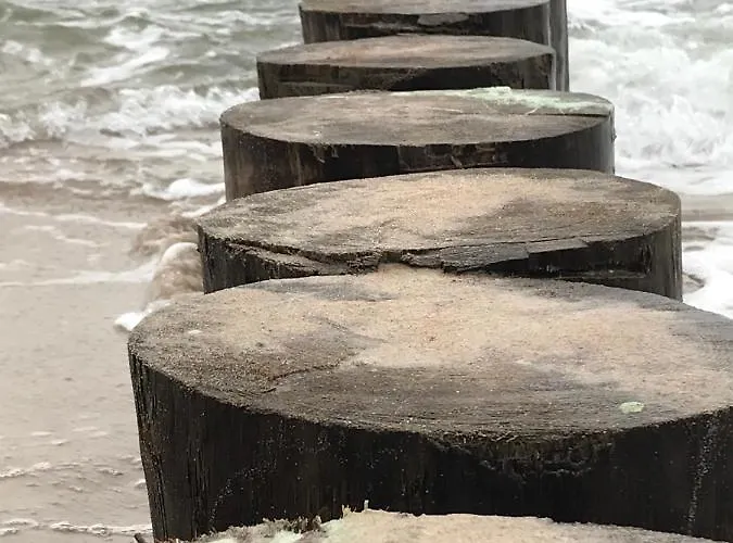 Leśne Tarasy Krabik Dziwnówek